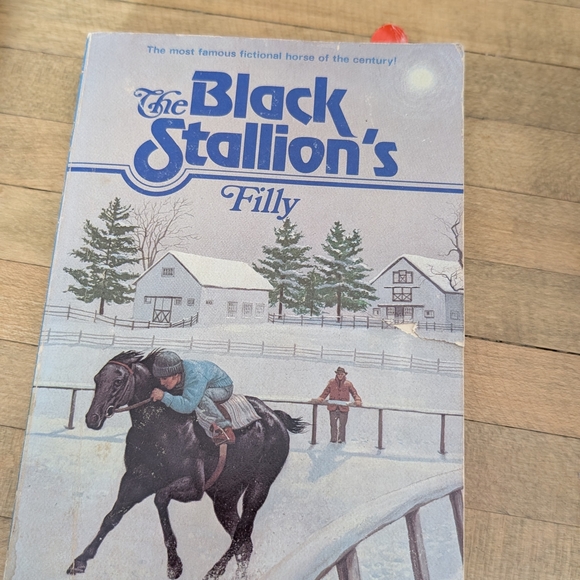The Black Stallion Book Collection - Picture 6 of 14